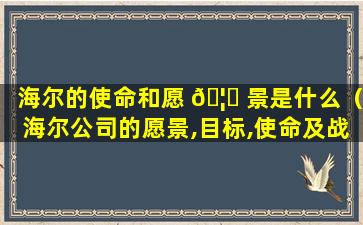 海尔的使命和愿 🦊 景是什么（海尔公司的愿景,目标,使命及战略）